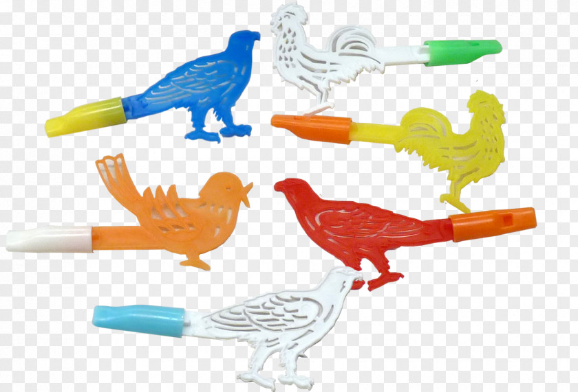 Feather Parrot Beak Plastic Animal PNG