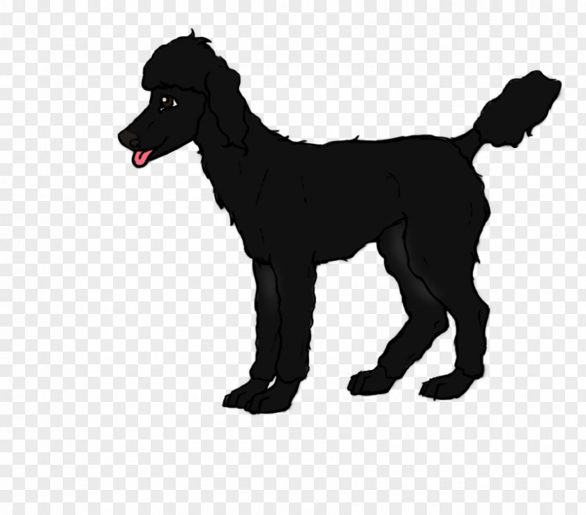 Giant Poodle Temperament Dog Breed Puppy PNG