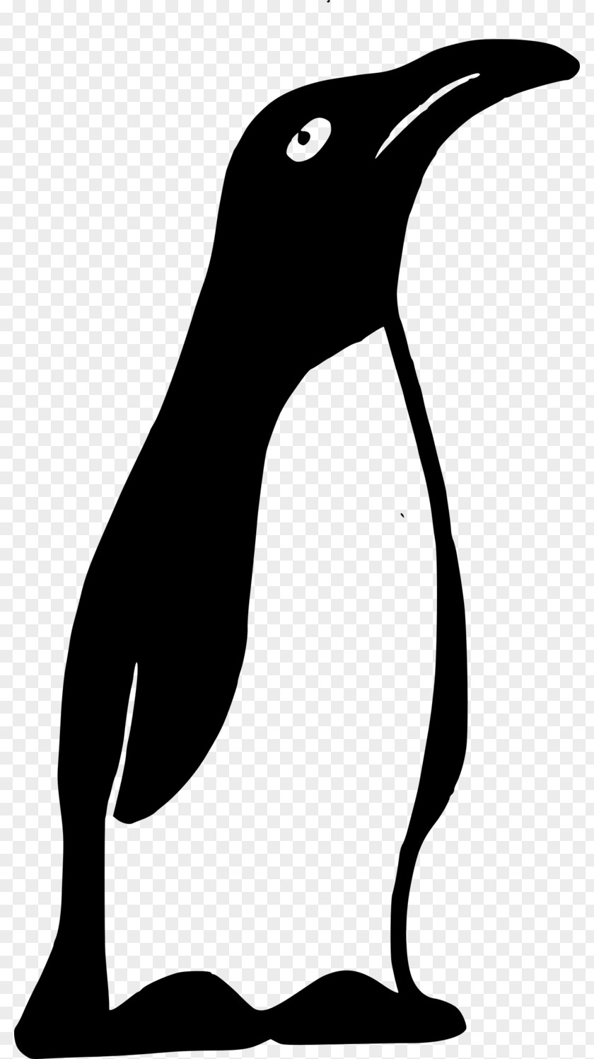 Cartoon Black Bird Cute Penguin Clip Art Openclipart Free Content Image PNG