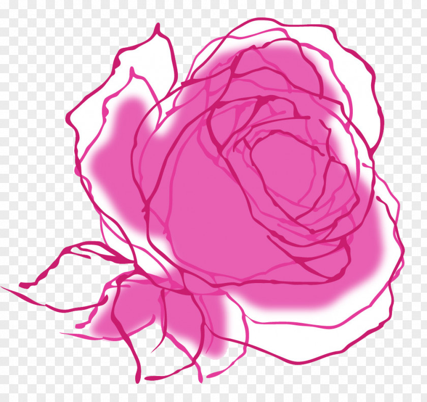 Hand-painted Roses Beach Rose Illustration PNG