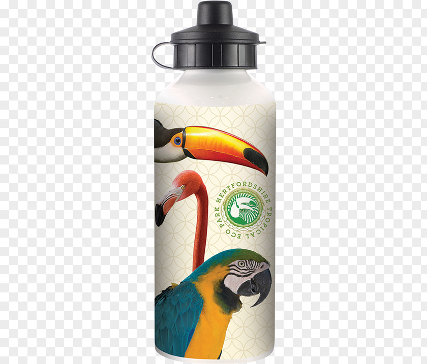 Product Promotion Water Bottles Promotional Merchandise PNG