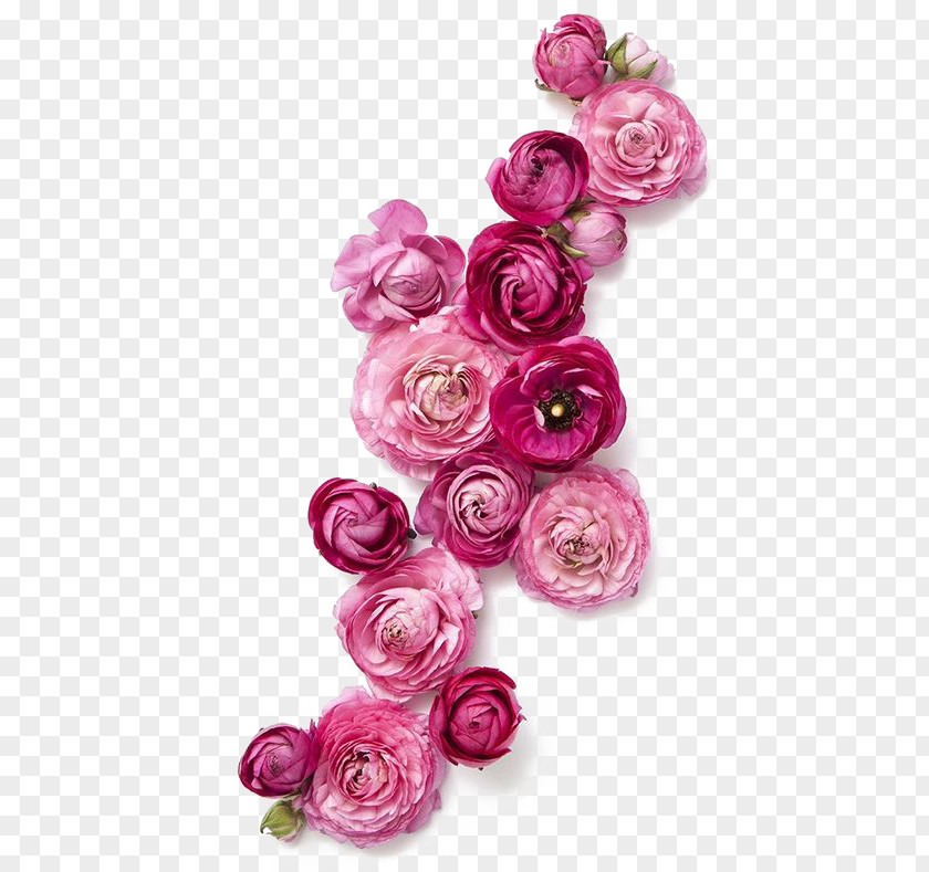 Red Roses Flower Clothing Fashion Pink PNG
