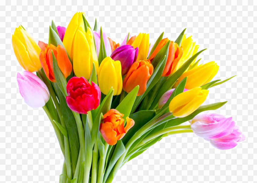 Beautiful Tulip Flowers Anniversary Wedding Valentines Day Birthday PNG