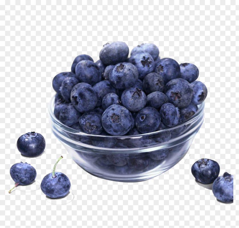 Bowl Of Blueberries Bilberry European Blueberry Vaccinium Uliginosum Ericaceae PNG