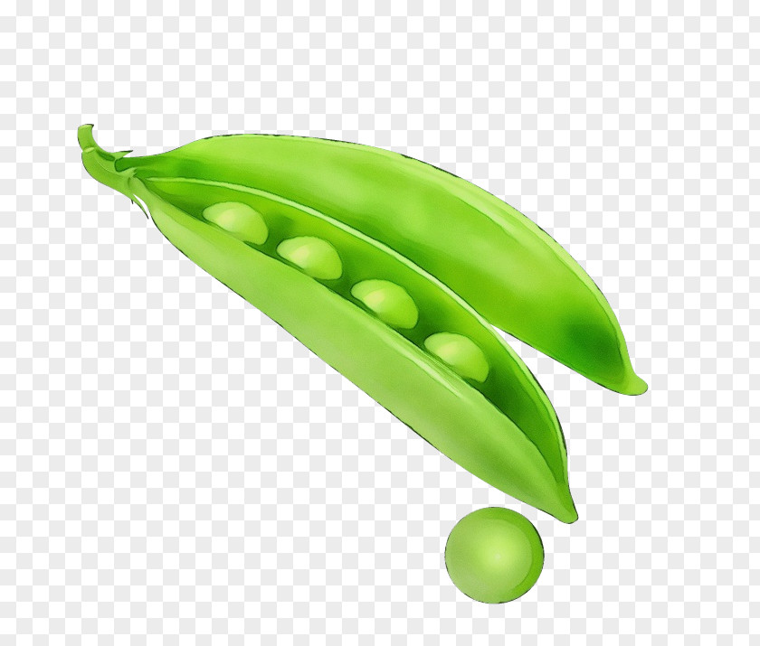 Fruit Legume Family Green Pea Snow Peas Snap PNG