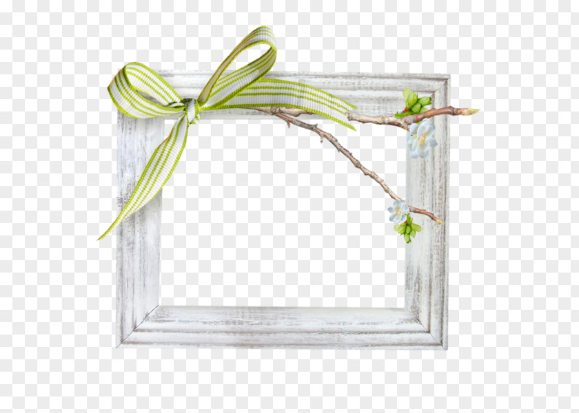 Green Bow White Frame Picture Shoelace Knot PNG