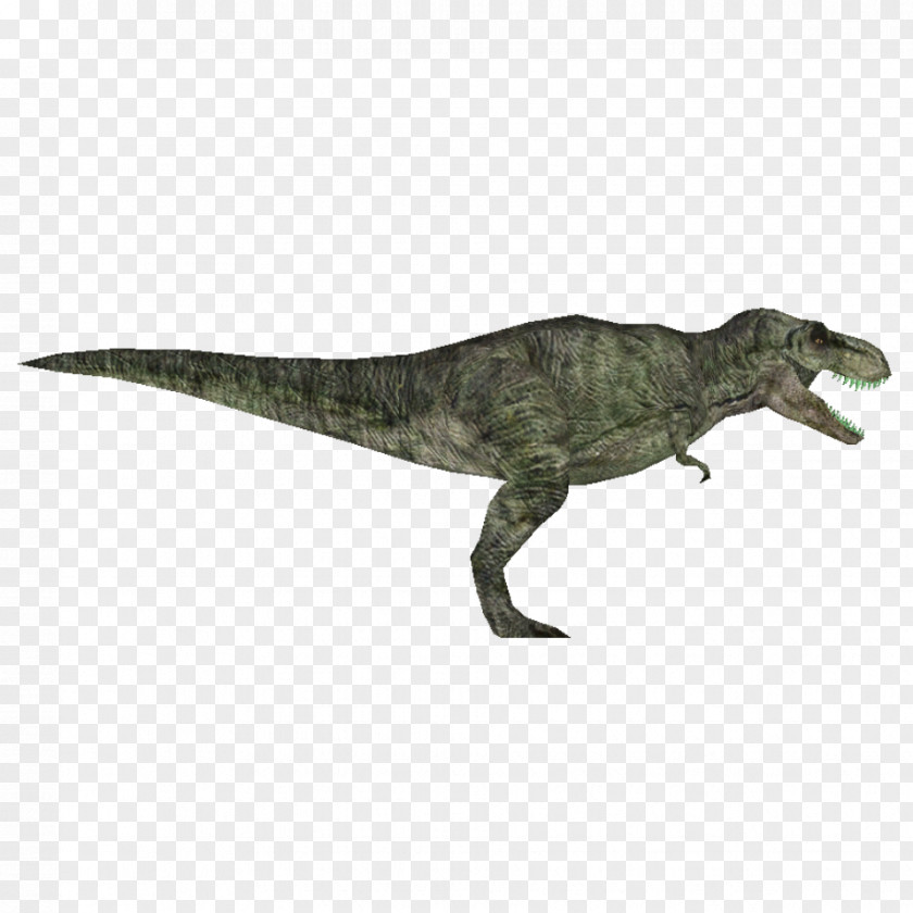 Jurassic Park Zoo Tycoon 2 Tyrannosaurus Velociraptor Dilophosaurus Spinosaurus PNG