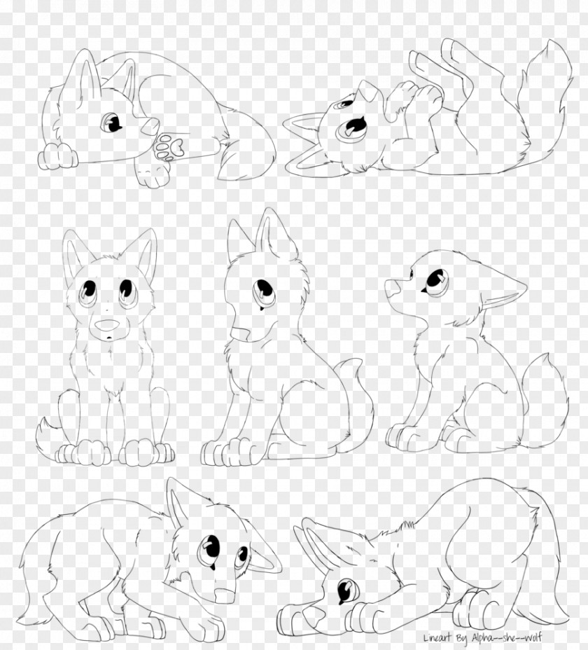 Shih Tzu Dog Cartoon Whiskers Cat Hare Canidae Sketch PNG
