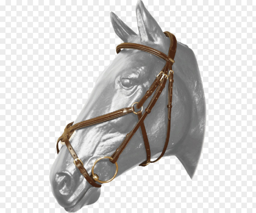 Centaur Bridle Cob Noseband Halter Rein PNG