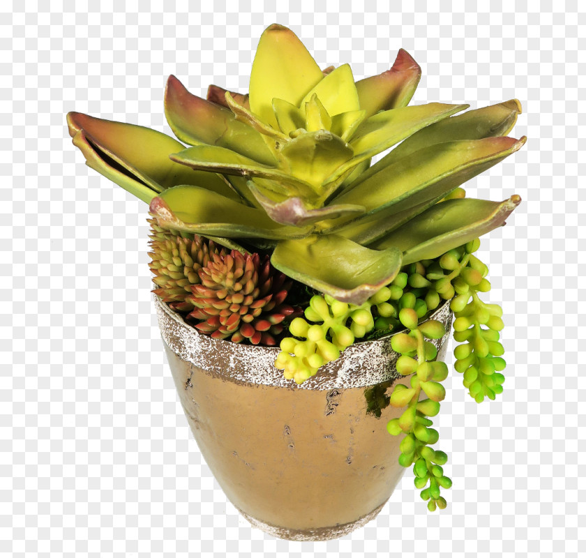 Flower Flowerpot Houseplant Floral Design Howea Forsteriana PNG