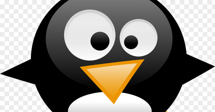 Penguin Tux Linux File Transfer Protocol Image PNG