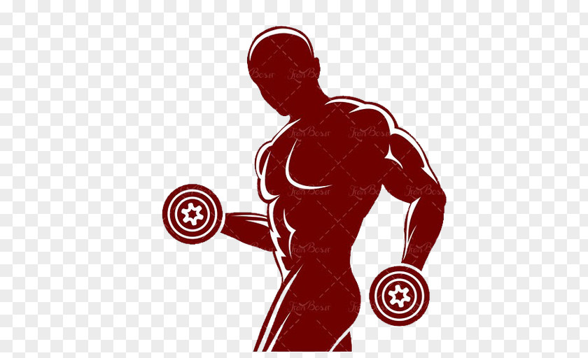 Silhouette Fitness Centre Weight Training Muscle Physical PNG