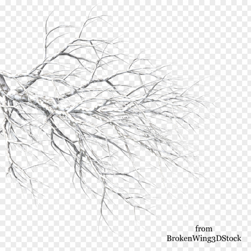 Snow Tree Winter Branch Drawing PNG