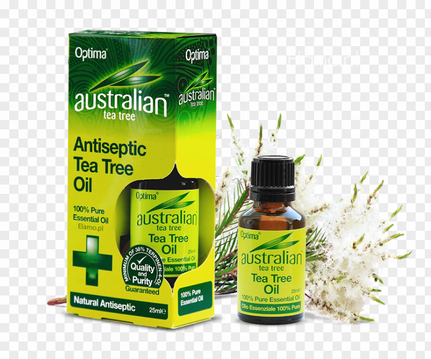 Tea Tree Oil Narrow-leaved Paperbark Essential PNG