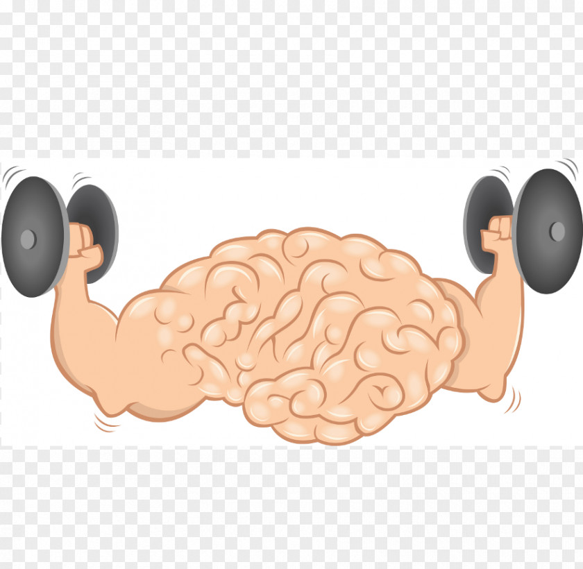 Brain Health Agy Muscle Exercise Physical Activity PNG