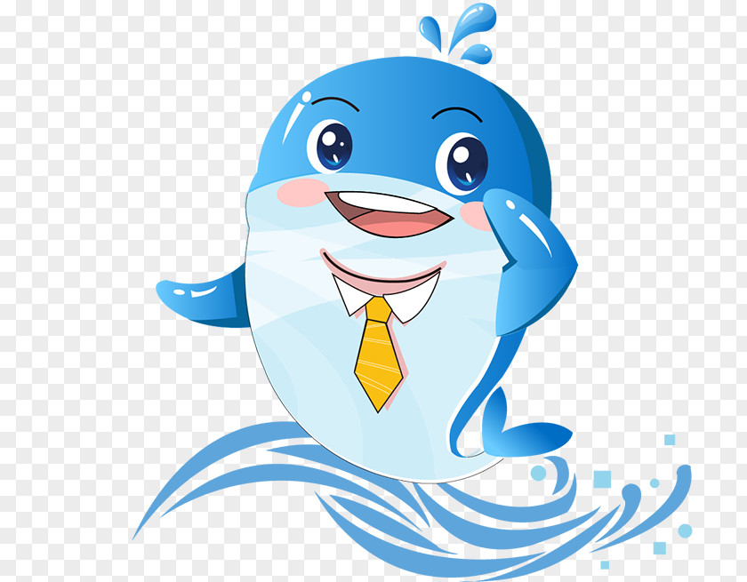 Company People Dolphin Porpoise Illustration Clip Art Whales PNG