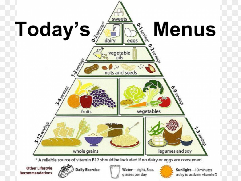 Health Vegetarian Cuisine Food Pyramid Diet Vegetarianism Veganism PNG