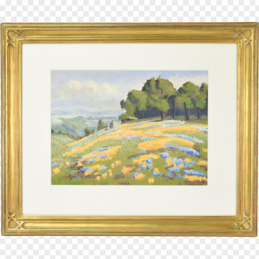 Paint Still Life Picture Frames Rectangle Impressionism PNG
