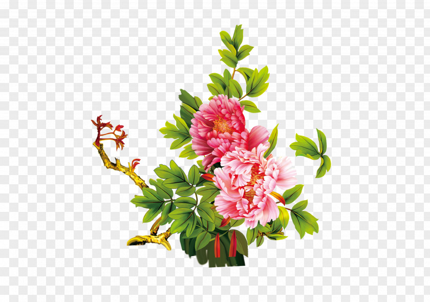 Peony Floral Design Moutan Download Flower PNG