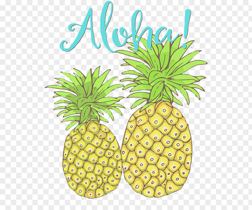 Pineapple Tropical Fruit Hawaii Slice PNG