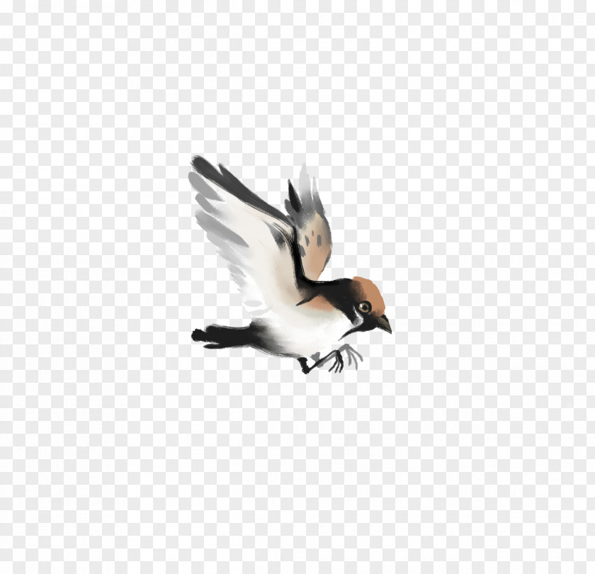 Small Hand-drawn Cartoon Sparrow Flying Free Matting Bird-and-flower Painting Chinese Ink Wash PNG