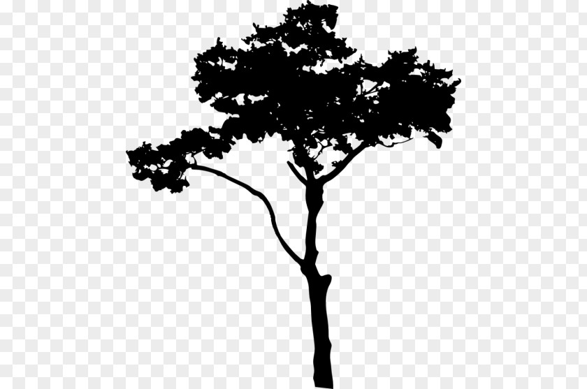 Tree Top Silhouette Clip Art PNG