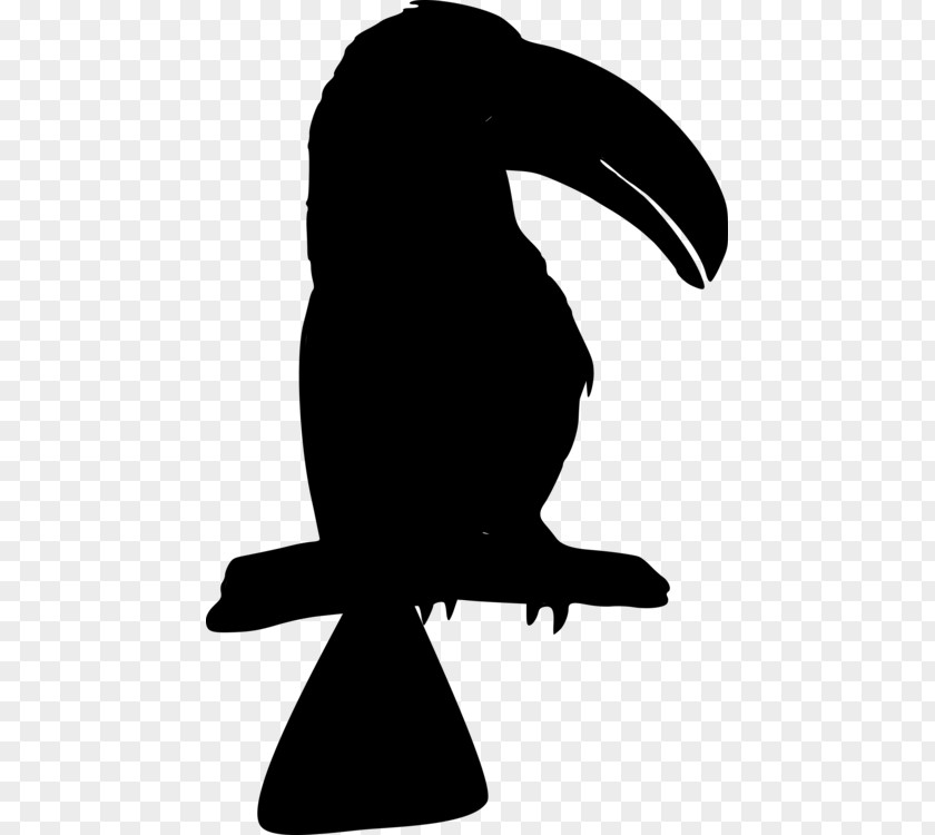 Beak Flightless Bird Clip Art Silhouette PNG
