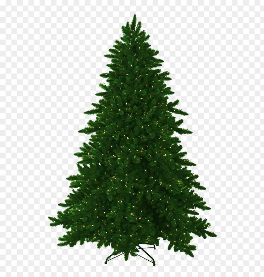 Christmas Tree Artificial Pine Fraser Fir PNG
