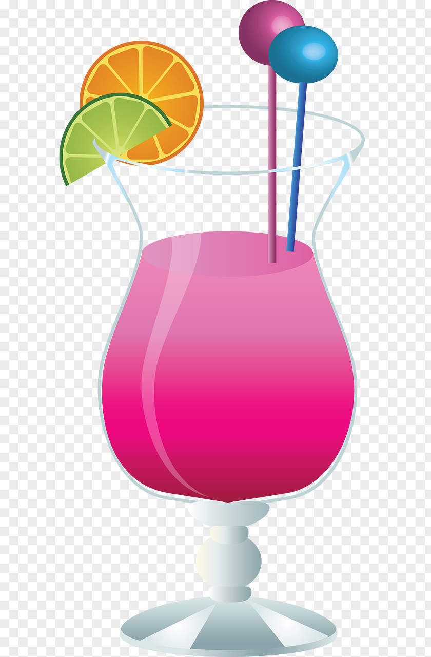 Cocktail Garnish Margarita Pink Lady PNG
