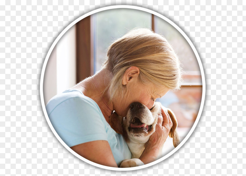 Dog Therapy Pet Sitting Veterinarian PNG