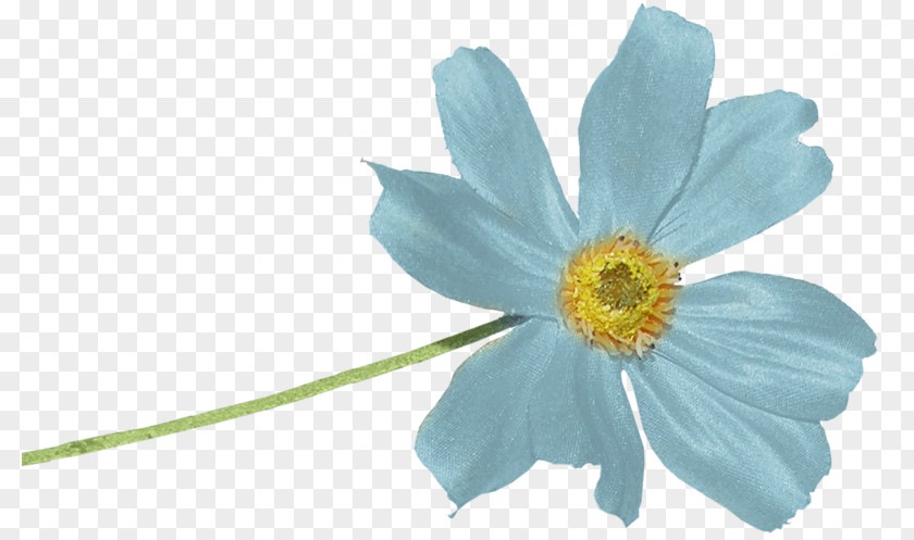 Flower Blue Color Image Mavi PNG