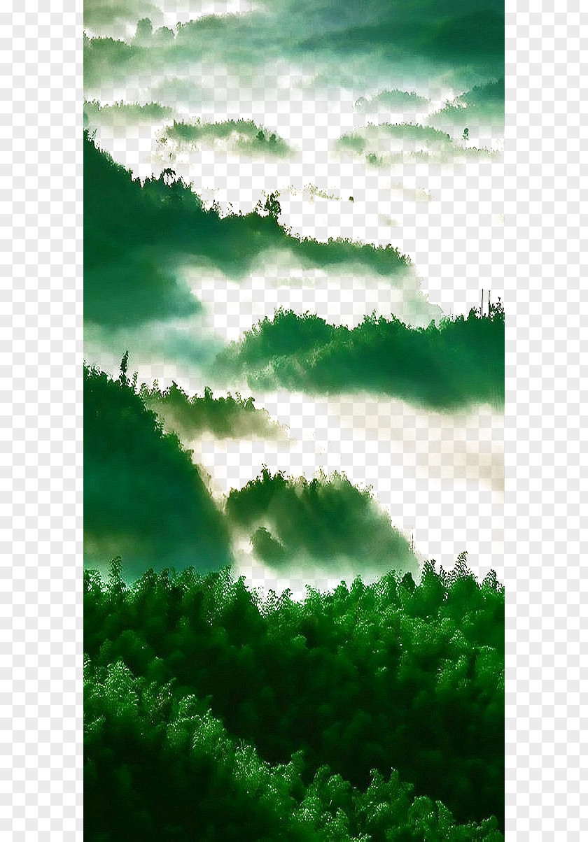 Green Forest Art PNG