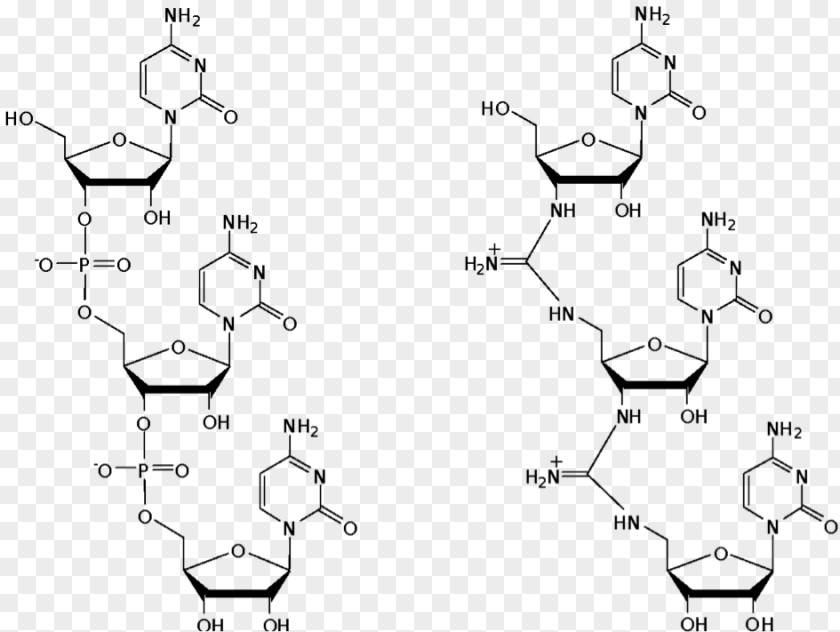 Ribonucleic Acid Drawing /m/02csf Monochrome Circle PNG
