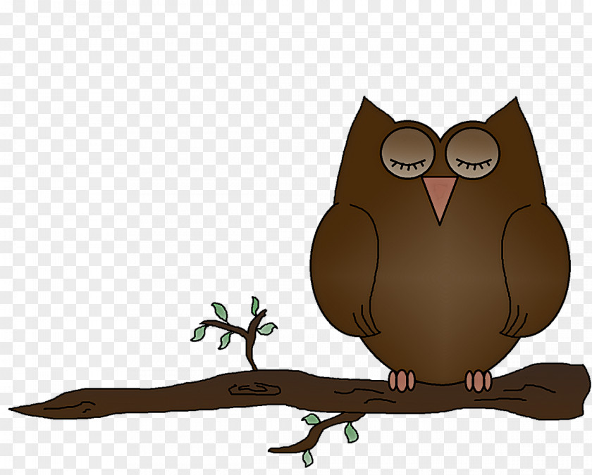 Screech Owl Animation Bird Of Prey Eastern Branch PNG