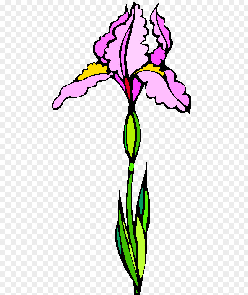 Trik Floral Design Cut Flowers Plant Stem Leaf PNG