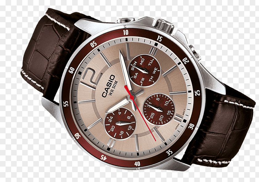 Watch Strap Casio PNG