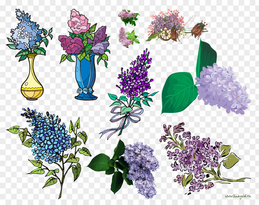 Lilac Flower Floral Design Clip Art PNG