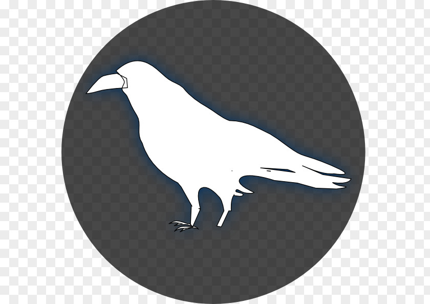 Raven Cliparts Common Baltimore Ravens Drawing Clip Art PNG