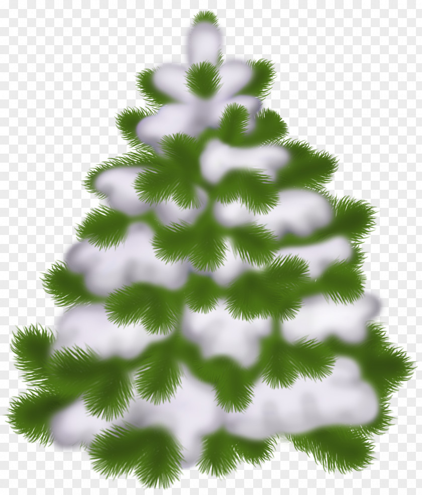 Transparent Christmas Snowy Tree Clip Art PNG