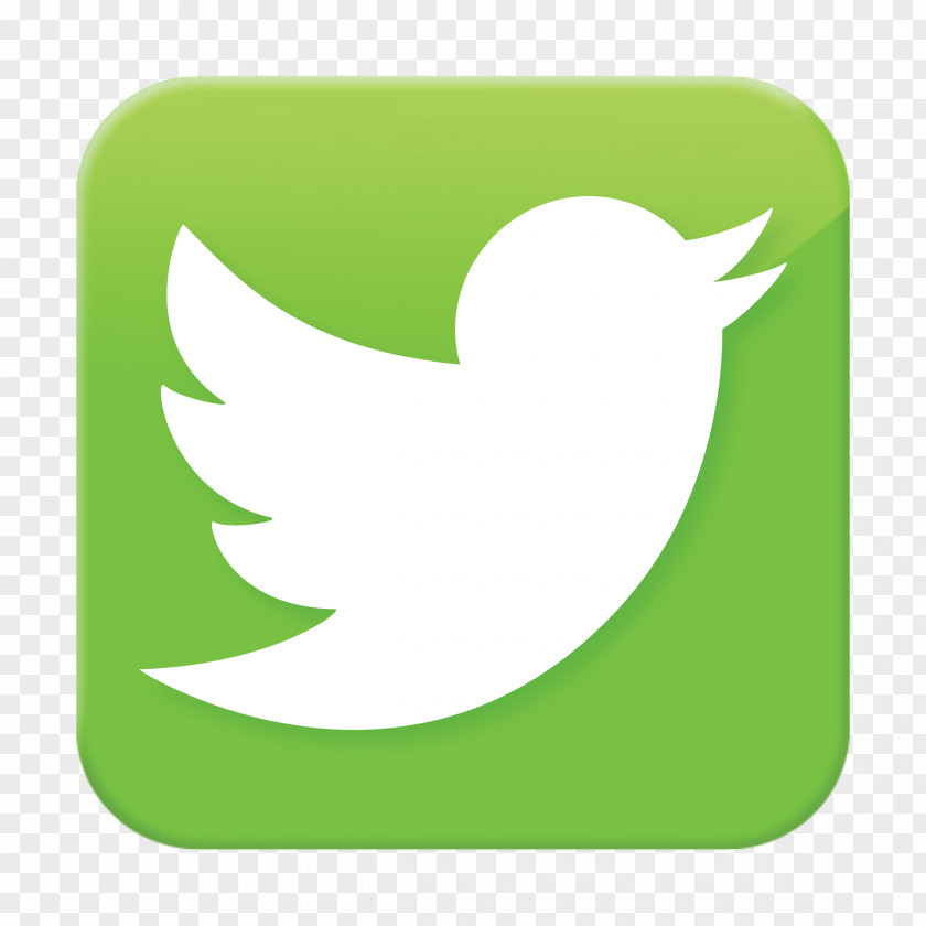 Twitter Social Media Blog YouTube Like Button PNG
