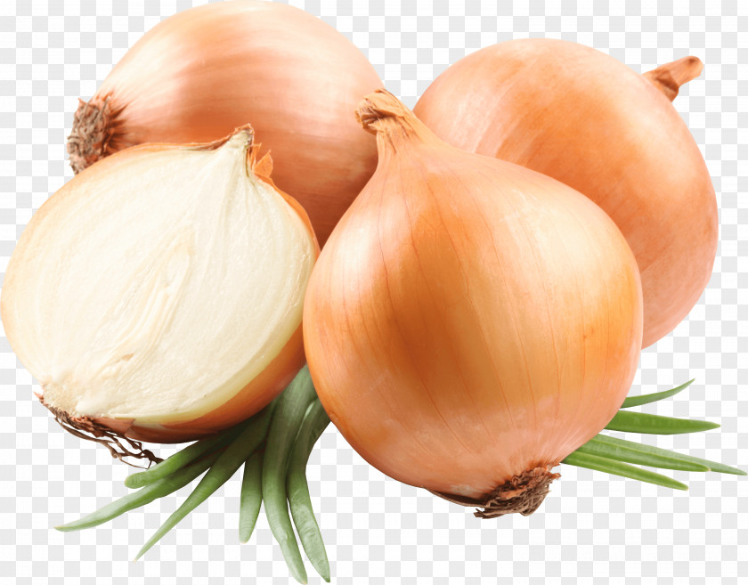 A Few Onions PNG Onions, four brown onions clipart PNG