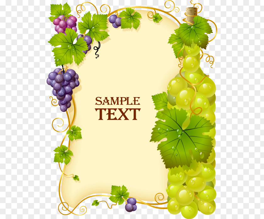 Beautifully Fresh Grapes Border Cabernet Franc Sauvignon Blanc Pinot Gris Wine PNG