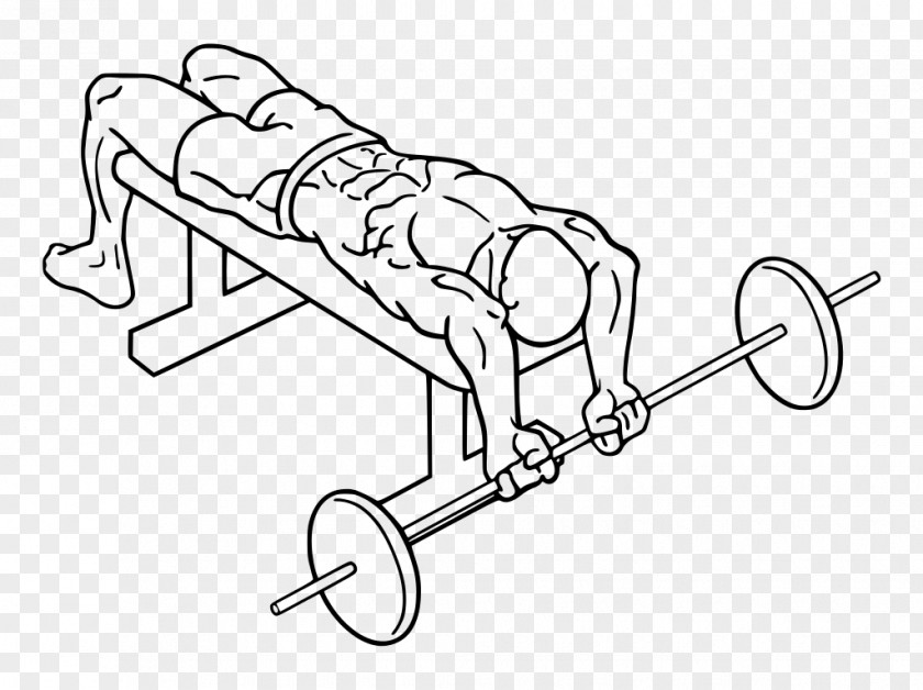 Fly Bench Press Dumbbell Exercise PNG