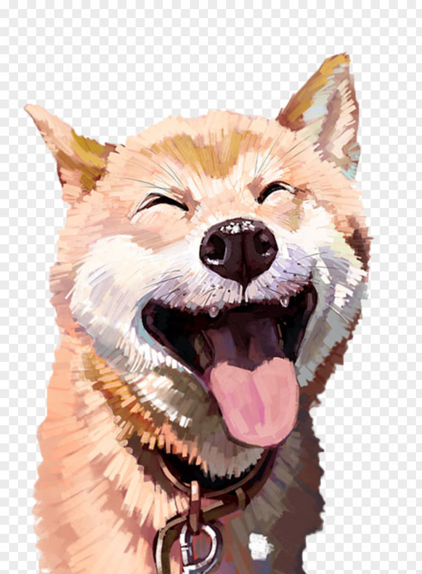 Happy Husky Picture Material Akita Cat Pet Illustration PNG