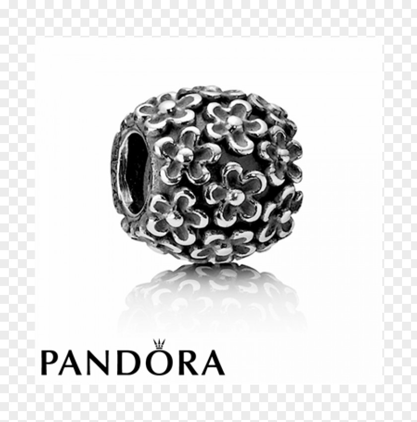 Pandora Charm Bracelet Flower Silver Jewellery PNG