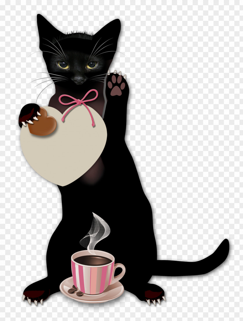 Witch Cat Coffee Cafe Blingee PNG