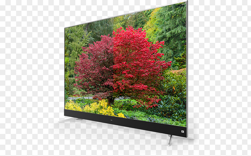 Android TCL C7006 Ultra-high-definition Television 4K Resolution Smart TV PNG