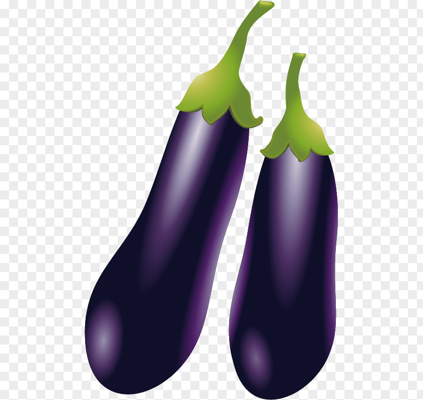 Eggplant Vector Material Vegetable Clip Art PNG