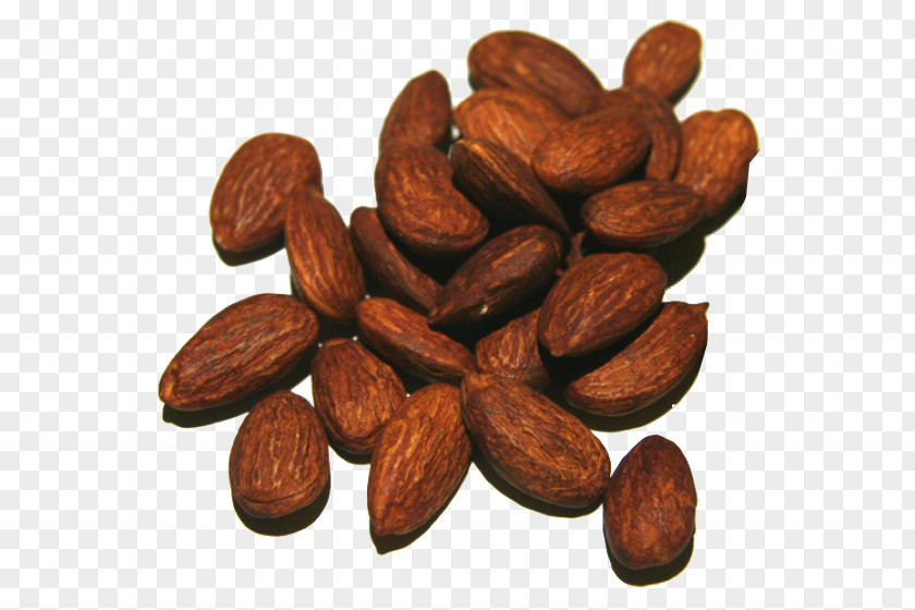 Java Coffee Bean Almond Food Plant Nuts & Seeds Superfood PNG