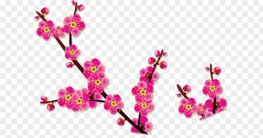 Plum Blossoms Blossom Flower Floral Design PNG